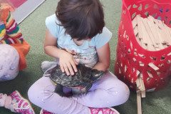 IMG_20240528_090326