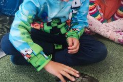 IMG_20240528_090405