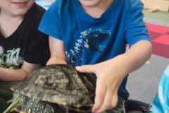 IMG_20240528_090423