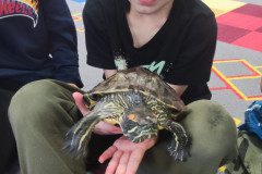 IMG_20240528_090435