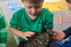 IMG_20240528_090607