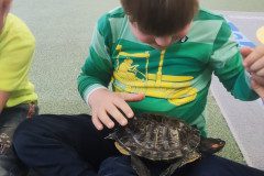 IMG_20240528_090624