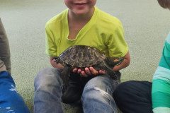 IMG_20240528_090636