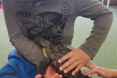 IMG_20240528_090658