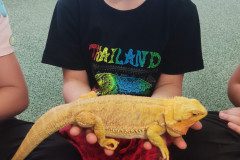 IMG_20240528_091837
