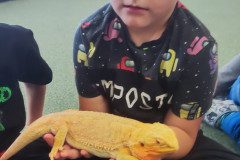 IMG_20240528_091925