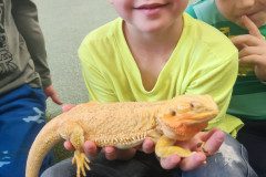 IMG_20240528_092045