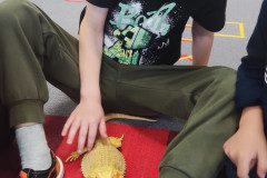 IMG_20240528_092437
