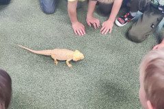IMG_20240528_093313