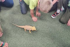 IMG_20240528_093328