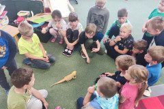 IMG_20240528_093604