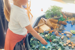 IMG_4674