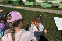 IMG_8590