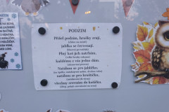 IMG_20251114_173535