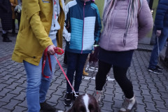 IMG_20251114_173709
