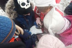 DSCN4083