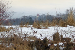 20260114_111506_resized