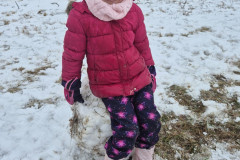 20260114_111530_resized