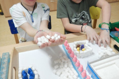 DSCN3180
