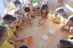 DSCN0288