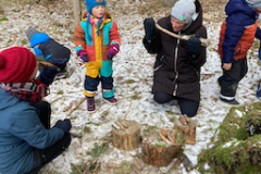 f78a0181-39fd-4006-8818-4a52742311d4