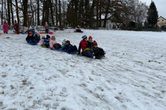 1a9bf7d5-c629-44de-a659-7339dc766d8b