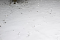 PXL_20260109_094145938