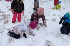 PXL_20260109_095614207