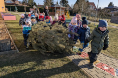 PXL_20260119_101301293