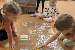 PXL_20260120_063710300