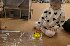 PXL_20260120_064026370