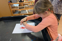 PXL_20260122_064025060