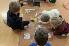 PXL_20260122_065330856