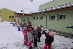 PXL_20260129_102010194