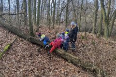 PXL_20230104_094012200