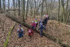 PXL_20230104_094021570