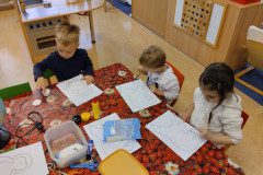 IMG_20230111_082223