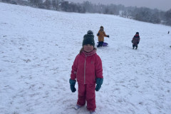 IMG-20260129-WA0002