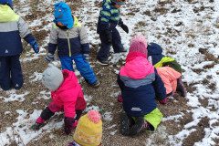 IMG_20240117_110618