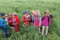 IMG_20240613_104000