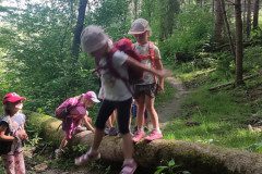 IMG_20240624_094744