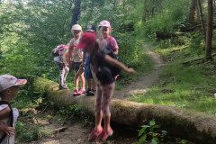 IMG_20240624_094831