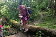 IMG_20240624_094840