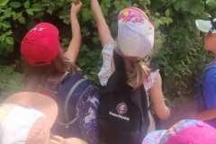 IMG_20240624_103233