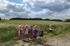 IMG_20240624_104944