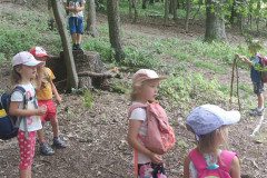 IMG_20240626_110503