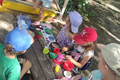 IMG_20240627_101712