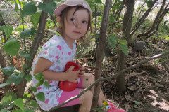 IMG_20240627_101722