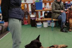 IMG_20231120_094730