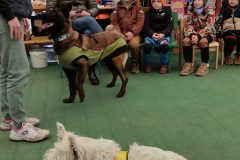 IMG_20231120_094926